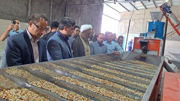 تصویر 5 از قیمت روز دستگاه گرده افشانی پسته